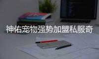 神佑宠物强势加盟私服奇迹4月版本更新详情揭秘